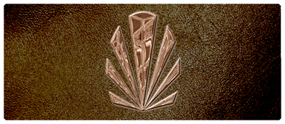 DNSEMP-L-602-BZ-SH-BR Bronze Sunburst Shimmer Brown